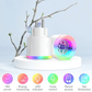 16A EU WiFi Smart Plug Socket With RGB LED Night Light LS-R1