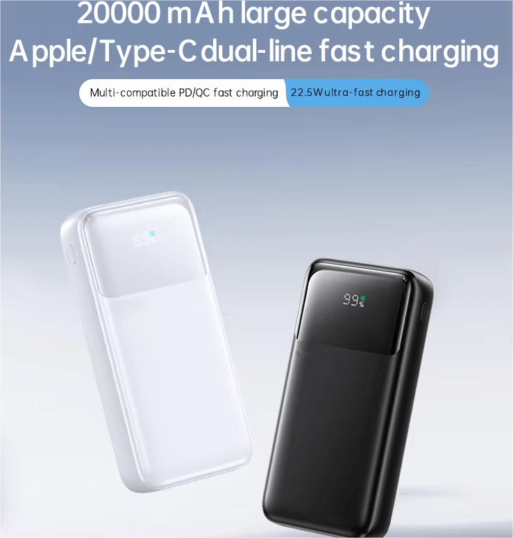 20000mAh Slim Power Bank for Business Travel | USB-C PD 22W (FCC/CE Certified) LS-FC2