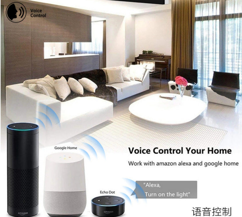 Brazilian Standards Smart Socket for Alexa/Google Home