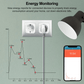 20A 220V Wireless Wifi Smart Plug EU standard